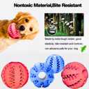 Dog Enrichment Puzzle Treat Ball  Interactive Chew Toy & Slow Feeder for Mental Stimulation, Training, Dental Health & Fetch, Durable BPA-Free Toy for Dogs, Large, 2-Pack (Red & Blue)