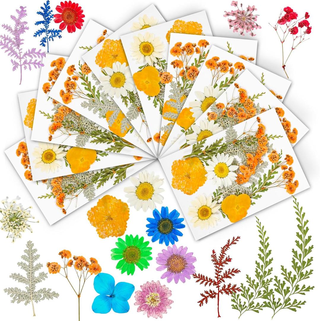 TIANLDD 100 Pieces (10 Packs) Real Pressed Dried Flowers for Resin Molds, Dry Flowers for Crafts. Suitable for Resin,Scrapbooking,Crafts,Face Decorations,etc. (Orange)