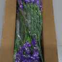 Grunyia 10 Bundles Artificial Daffodil Outdoors Flowers (Blue)