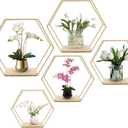 Wall Mounted Hexagonal Floating Shelves Set of 5 in Different Sizes, Modern Metal Shelf, Simple Wood Partition Storage Shelves, Gold Decor Rack for Bedroom, Living Room, Kitchen and Office