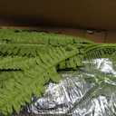 FOREST PRINCE 35" Fake Ferns, 4 Large Artificial Bonston Ferns Bushes Plants with 39 Fronds for Outdoors Garden Patio Porch Entrance Low Maintain Home Decor