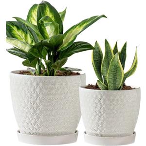 Plant Pots, Flower Pots, Planters for Indoor Plants(6.5+5.5inch), Flower Pots for Indoor Plants with Drainage Hole and Saucer, Ceramic Pots for Plant with Hole Mesh Pad,White