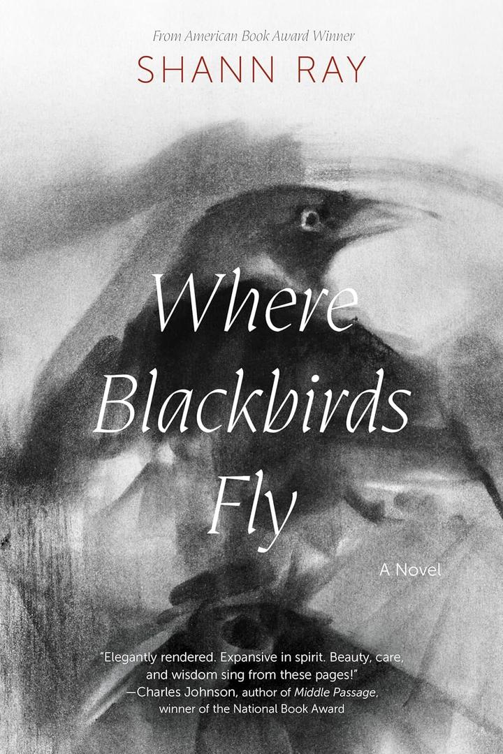 Where Blackbirds Fly: A Novel, Format: Paperback