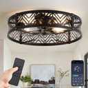 LEDIARY 23" Caged Ceiling Fan with Light and Remote, Large Fandalier, Black