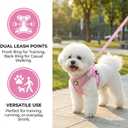 Dog Harness with Leash Set, No Pull Adjustable Reflective Step-in Puppy Harness with Thickened Padded Vest for Extra-Small/Small Medium Dogs (Pink, Medium)