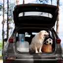 Collapsible Water Container with Spigot, 25.3 Gallon BPA Free Camping Water Storage Jug Carrier for Outdoors Hiking Backpack RV&Emergency, Survival Water Canteen-Portable Foldable Transparent