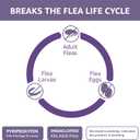 Amazon Basics Preventative Topical Flea Treatment for Large Cats (Over 9 Pounds), 6 Count