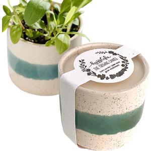 The Growing Candle, from Flame to Flower, Lavender Scented, Non-Toxic, 100% Soy Wax, Indoor Wildflower Garden, Aromatherapy Gift for Women, 8.5oz, 45-50 Hr Burn Time, Edith