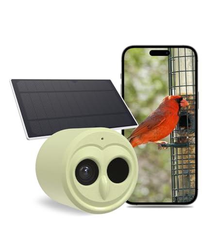 5G Bird Watching Camera, Hibird Smart AI Identify and Auto Capture 10000+ Bird Species IP66 Mini Wireless Watching Camera with Solar Panel, Ideal Gift for Birds Lover