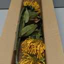 Hollyone 3Pcs Yellow Artificial Mums for Outdoors Fall Flowers Fake Fall Mums Spider Mum Flower 28.3'' Long Stem Faux Chrysanthemum Flower Arrangement Pincushion Bouquet Autumn Decorations for Home