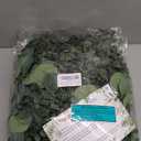 8.3' Long Faux Eucalyptus Greenery Garland - Silver Dollar Eucalyptus for Wedding Arch, Swag, Backdrop, Doorways, Mantel, Table Runner - Indoor/Outdoor