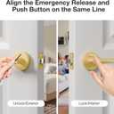 3 Pack Brushed Gold Door Handles Interior, Heavy Duty Privacy Door Lever Handles, Streamlined Interior Door Handle Gold, Brass Interiors Doors Handle Levers for Bathroom, Bedroom