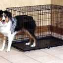 Precision Pet Products Two Door Great Crate Wire Dog Crate, 36 Inch, For Pets 50-70 lbs, With 5-Point Locking System