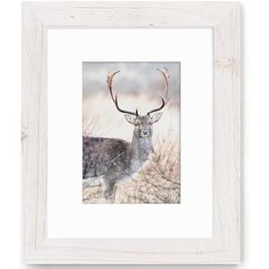 Fun Memories Picture Frame 8x10 - Real Tempered Glass, Solid Wood Photo Frame, Display 5x7 With Mat or Without Mat, Rustic Frame for Wall or Tabletop, White, 1 Pack