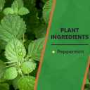 Squirrel Repellent Outdoor, Squirrel Repellent for Attic, Chipmunk Repellent Outdoor, Keep Squirrels Out of Potted Plants, Squirrel Deterrent for Garden-8 Packs