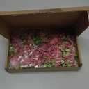 Sherr 20 Pcs Rose Wrist Corsage and Boutonniere Set Flower Wrist Corsage Wristlet Band Bracelet Bridegroom Men's Boutonniere Wedding Wristlet Hand Flower for Prom Party Bouquets (Cameo Brown)