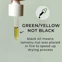Tamanu Oil Organic for Skin, 100% Pure, Cold Pressed, Unrefined, Cruelty-Free, Hydrating, Moisturizing Tamanu Oil for Face Skincare, Haircare, Soothes Irritation, Reduces Scars and Acne, All Skin Type