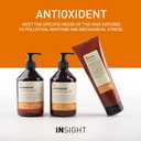 Insight Clean Beauty Antioxidant Rejuvenating Mask With Organic Carrot Extract, Vegan, 13.5 fl oz