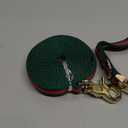 Stylish and Elegant Dog Collar, Adjustable Metal Belt Buckle, Durable