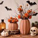 Qinyoung 2 Pack Halloween Terracotta Pumpkin Vase Fall Clay Pot