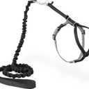 PetSafe Come with Me Kitty Harness and Bungee Leash Adjustable, Lightweight Harness for Cats Small, Black