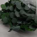 CQURE 14 Pack Eucalyptus Garland, Artificial Greenery Garland Spring Faux Eucalyptus Leaves Table Vines for Wedding Backdrop Fireplace Arch Door Wall Room Decor98FT