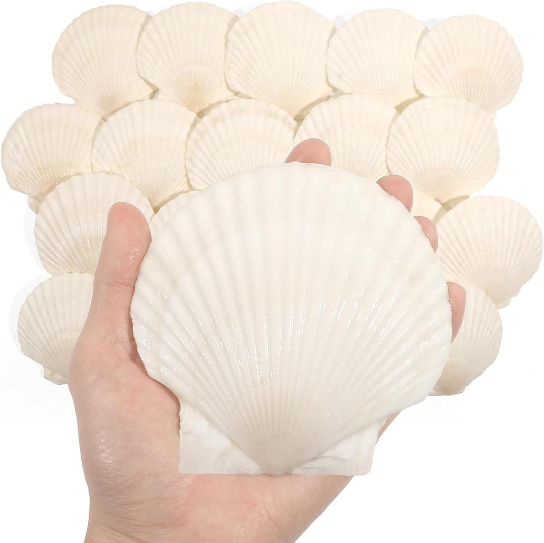 20 PCS 4-5 Inch Large Scallop Shells for Crafting, Natural Large Seashells for Crafts, White Big Sea Shells for DIY Painting, Baking, Beach Wedding Decors