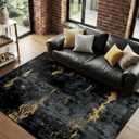 RELEANY Washable Area Rugs 5'x7' Non-Slip Modern Abstract Soft for Living Room Entryway Bedroom Nursery, Print Pattern, Dark Black Gold