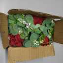 Dolicer 2Pcs 13Ft Artificial Eucalyptus Garlands with Flowers - 8 Roses, Faux Floral Greenery Garlands Fake Flowers Vines for Wedding Table Centerpieces Arch Party Ceremony Backdrop Decor (Red)