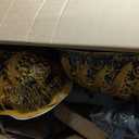 Haunted Hill Farm Motion-Activated 7.5-Ft. Tall Smoldering Ghoul, Plug-in Talking Scare Prop Animatronic with Spooky Sound Effects and Lights for Indoor or Covered Outdoor Creepy Halloween Decoration