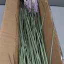 Jexine 2 Pieces Faux Plants Outdoor 3 ft Tall Artificial Lavender Plant Potted Artificial Lavender Faux Greenery Floor Flowers for Housewarming Gift House Garden Bathroom Lobby Outdoor