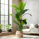 Erimda 6FT Artificial Banana Tree Tall Fake Banana Leaf Plant Faux Banana Silk Tree Faux Banana Leaves for Home Swimming Pool Indoor Outdoor Patio Tropical Decor