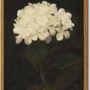 InSimSea Framed Wall Art for Living Room - White Hydrangea Oil Painting Canvas Prints for Bedroom, Bathroom, Kitchen, Office Decor - 8x10in (10L" x 8W")