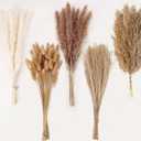 Natural Dried Pampas Grass Decor - 110 Pcs, Contains White Bunny Tails, Artificial Flowers for Bathroom, Office and Baby Shower Decor