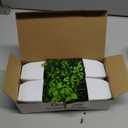 Der Rose 4 Pack Fake Plants Mini Artificial Greenery Potted Plants for Home Decor Indoor Office Table Room Farmhouse