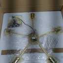 Livex Lighting 46135-02 5 Light Polished Brass Chandelier