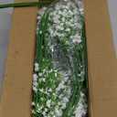 Yastouay Babys Breath Artificial Flowers, 16Pcs Fake White Babys Breath Flowers Artificial Bulk, Real Touch Faux Babies Breath Gypsophila Bouquet for Wedding Floral Arrangement Party Decor