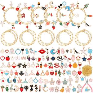 Tondiamo 173 Pieces Charm Bracelet Making Kit for Women DIY Gold Chain Bracelet Jewelry Making Kit for Adult 100 Assorted Charms Pendants 60 Jump Rings Pliers Tools for Crafts Beginner Supplies Gift (BLue)