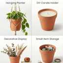 Riseuvo 32pcs 2" Small Mini Terracotta & Clay Pot Planter - Cactus Flower Nursery Terra Cotta Pots with Drainage, Perfect for Indoor/Outdoor Plants, Crafts