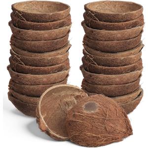 LemonRoad 24 Pcs Natural Coconut Shell Bowl Halves About 2/5 The Size of a Coconut Smooth Bottom for Easy Standing Craft Material Flower Pot Aromatherapy Arrangement Ornament(Hairy)