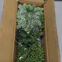 Winlyn Set of 3 Small Artificial Succulent Potted Plants Fake Aloe Hops String of Pearls in Modern Marble Ceramic Planter for Home Garden Bathroom Shelf Office Desk Tabletop Indoor Outdoor Décor