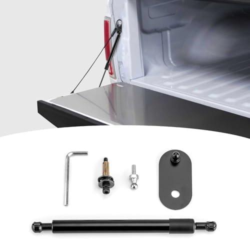 Wsays Tailgate Assist Shock Black Steel Compatible with Dodge Ram 1500 2500 3500 Classic 2002-2018