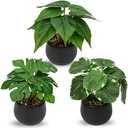 Briful 2PCS Fake Plants Potted Artificial Plants Mini Faux Plants in Black Ceramic Pots Greenery Décor for Home Office Table Room Farmhouse Indoor Decoration