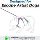 Escape Proof Dog Harness and Leash Set, Lightweight Dog Harness with Lift and Assist Handle, No Pull Reflective Pet Vest for Medium Dogs, Ideal for Puppy Walking and Training (Purple, M)
