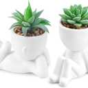 Der Rose Set of 2 Fake Plants Artificial Succulent Plants for Office Desk Accessories Bathroom Home Room Aesthetic Decor Indoor (White)
