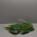 Tigeen 6 Pcs Artificial Palm Leaves Tree 33 Inch Fake Tropical Plant with Stems Large Faux Palm Leaf Bush Greenery for Hawaiian Luau, Jungle Safari, Pool Beach Party, Wedding, Garden, Indoor Outdoor