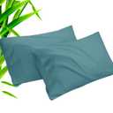 Teal Pillow Cases Queen Size 2 Pack, Bamboo Rayon Cooling Pillowcases with Envelope Closure, Cool Breathable Pillow Case for Hot Sleepers & Night Sweats, 20x30 inches