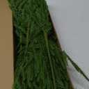 12 Pcs Artificial Norfolk Pine Branches - 18 Inch Faux Christmas Green Plants Greenery Stems Fake Cedar Pine Picks for Vase DIY Crafts Garland Wreath Accessories Xmas Indoor Outdoor Home Decor