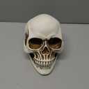 READAEER Resin Skull, Human Head Model for Home Decoration, Halloween Statue, Skull Model for Bookshelf and Desktop (White)(7.68"D x 5.91"W x 5.35"H)