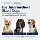 Midwest 36-Inch Single Door iCrate, for Medium-Large Breeds, 41-70 lbs